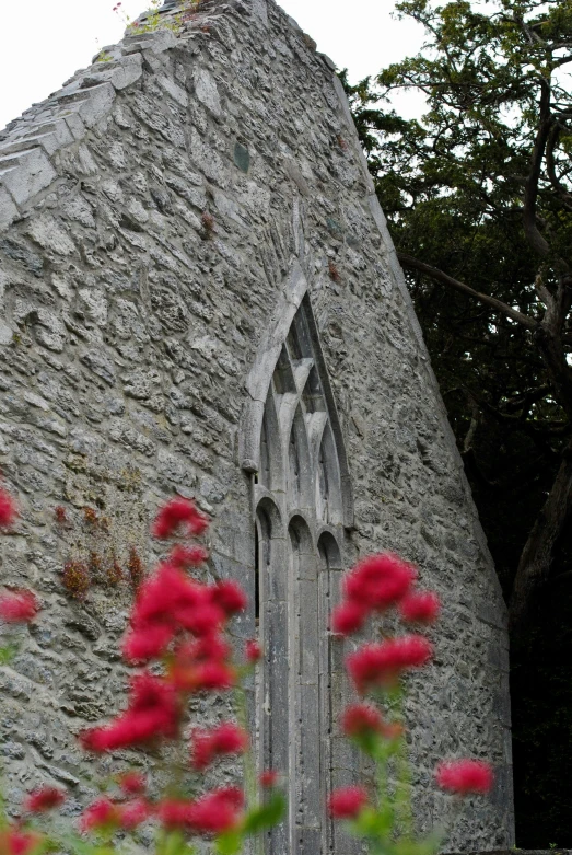 a flower beside a window on the side of a stone wall