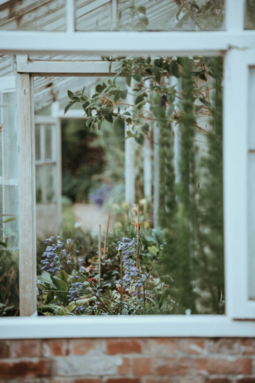 a view of an open greenhouse from inside the house