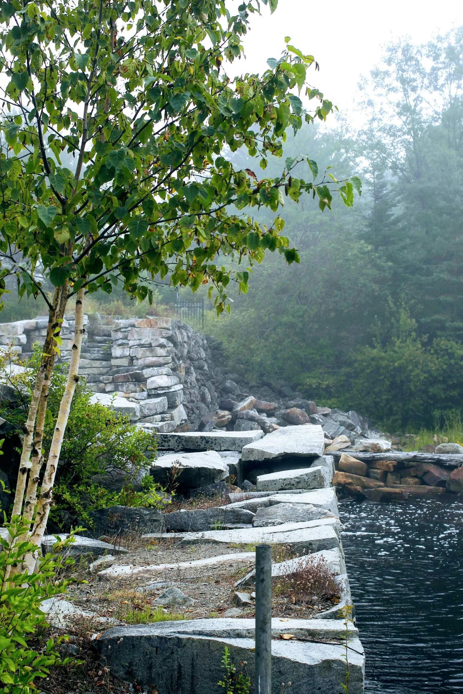 a river near some rocks and trees with fog