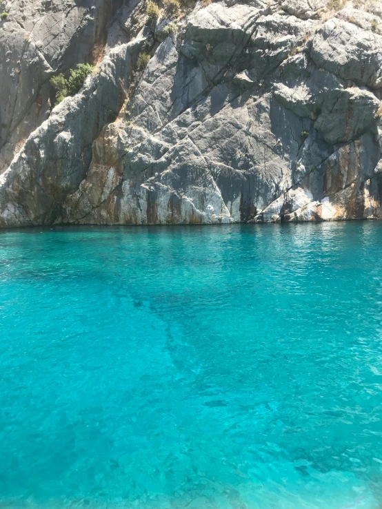 a rocky coast on a blue ocean with green plants