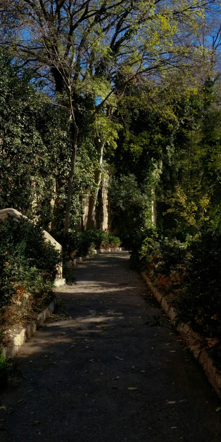a scenic pathway leading to a castle surrounded by trees