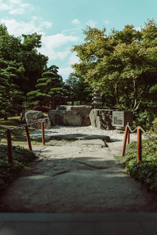 the walkway is going down to the rocks and plants