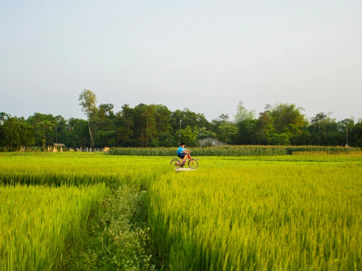 three people are flying a kite on an open field