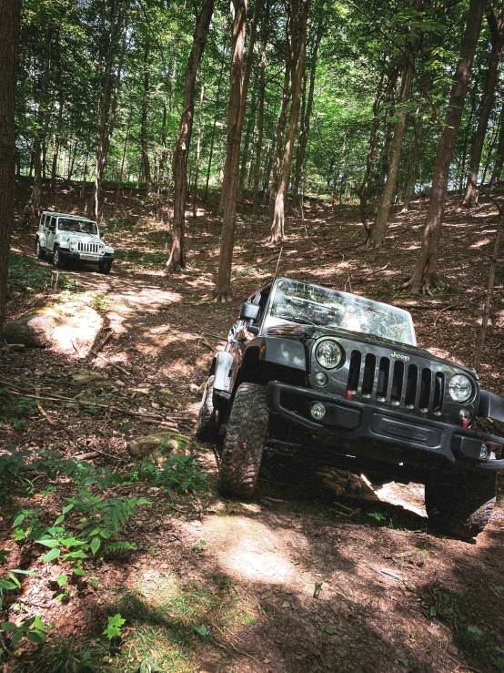 a jeep and 4 wheeler stuck in the forest