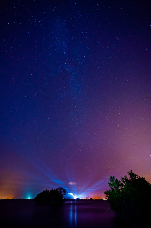 a tree with bright lights in the sky above