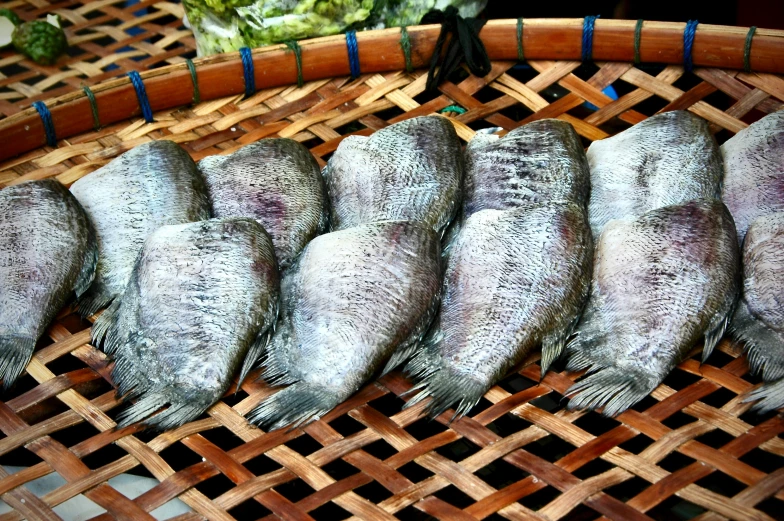 seven fish arranged in an intricately woven basket