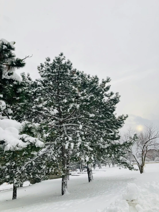 a park bench sits in the snow on the side