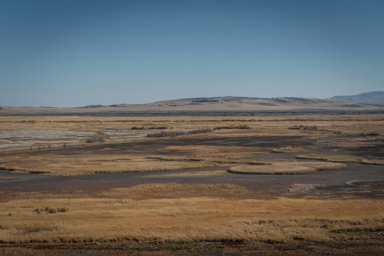 an area with dry grass and some distant mountains