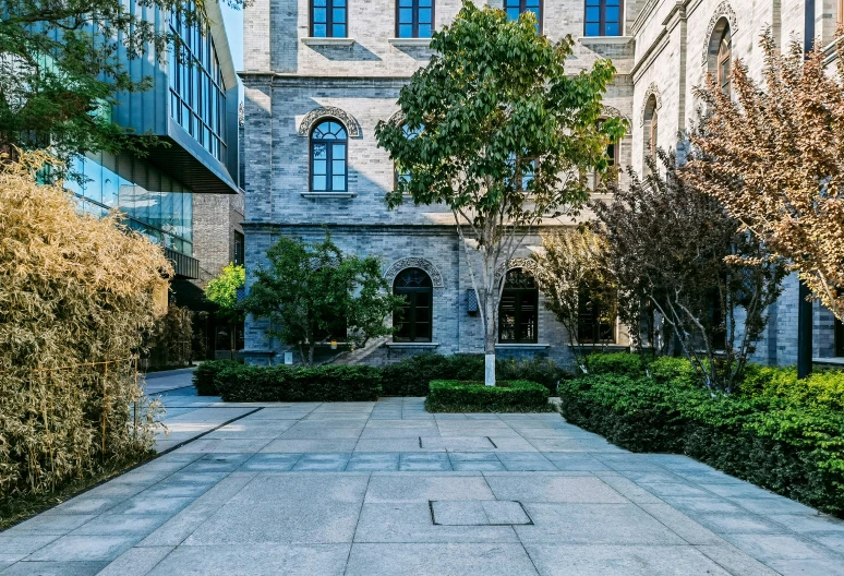 an empty sidewalk is surrounded by greenery and trees