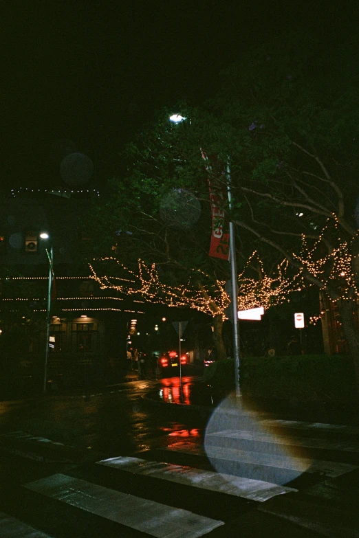 a road with traffic lights in the evening and trees lit up