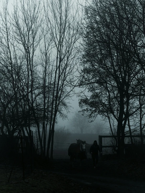 three people walking away from their car on a foggy day