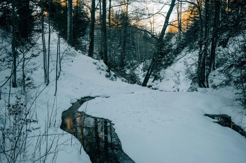 the path uphill is covered with snow and trees