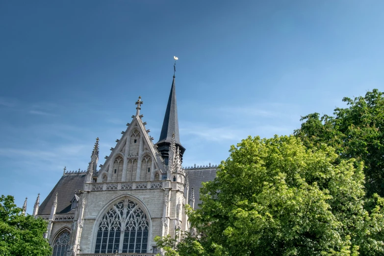 a large cathedral rises above the green trees