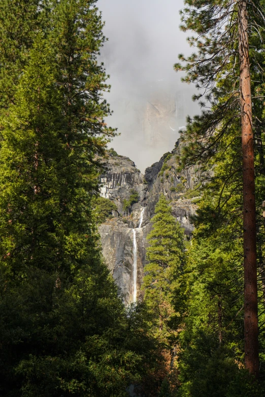 a waterfall that is in the middle of trees