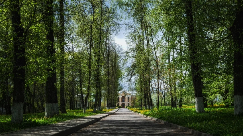 a long pathway in a park surrounded by green trees