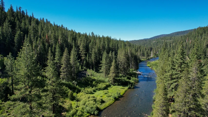 an aerial view of a river in a forest