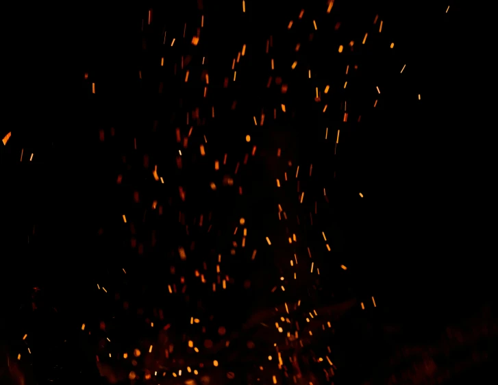 a tree with lots of small lights shining