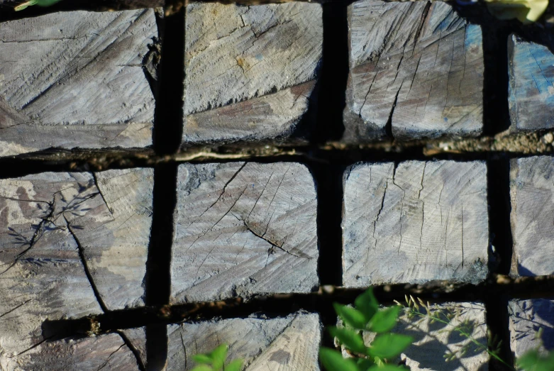 a square mosaic made with different rocks and leaves