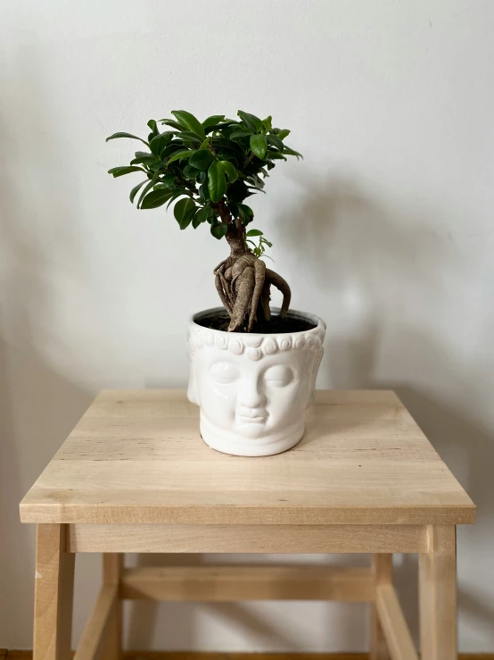 a wooden table with a plant on top