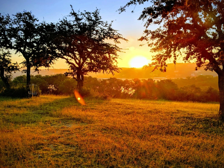 the sun is setting over the fields of green and yellow grass