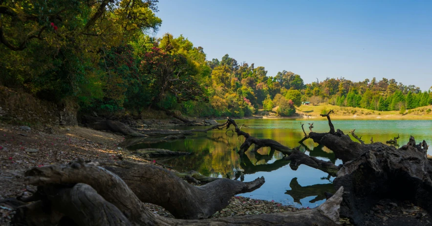 this is the view from a small lake of some kind