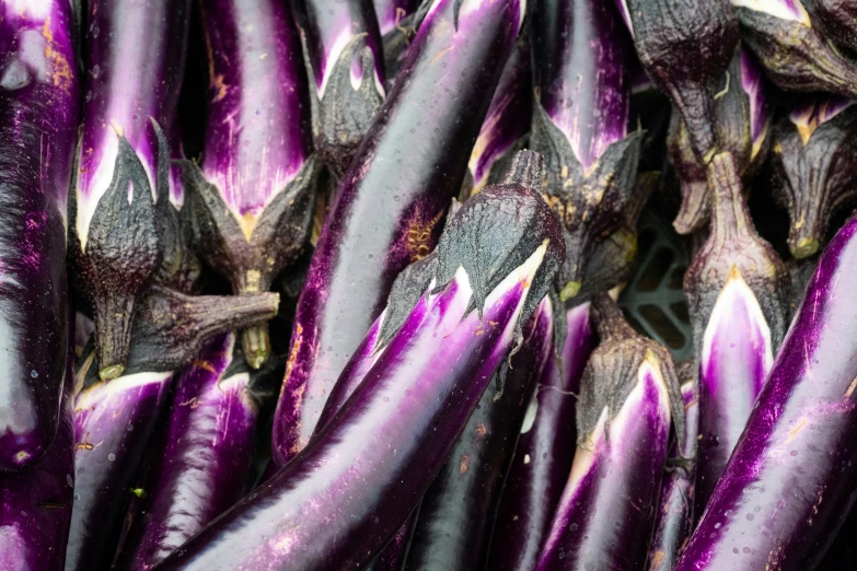 purple vegetables sit on display at the market