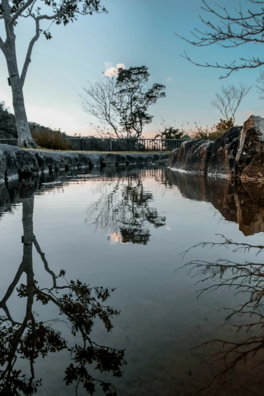 trees reflecting in the water on the side of a road