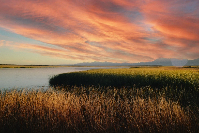 sunset over the marsh at the mouth of a river
