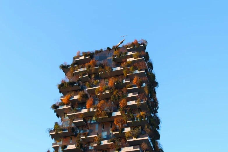 a tall building with plant life growing on top