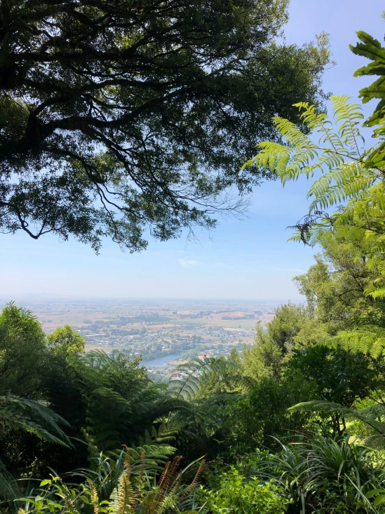 view of part of a city from an overlook point with trees on either side