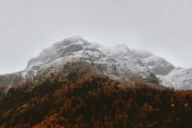 some mountains covered in snow and trees