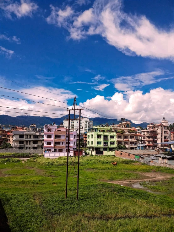 a green field with buildings and power lines