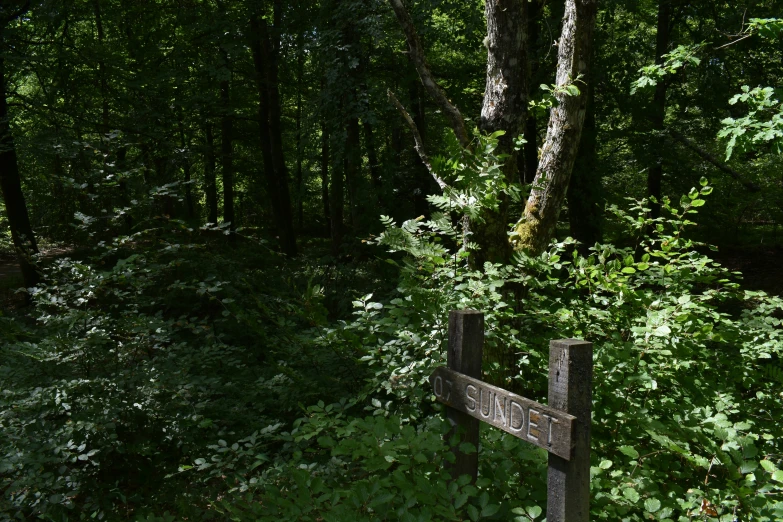 a wooden gate in a wooded area near bushes