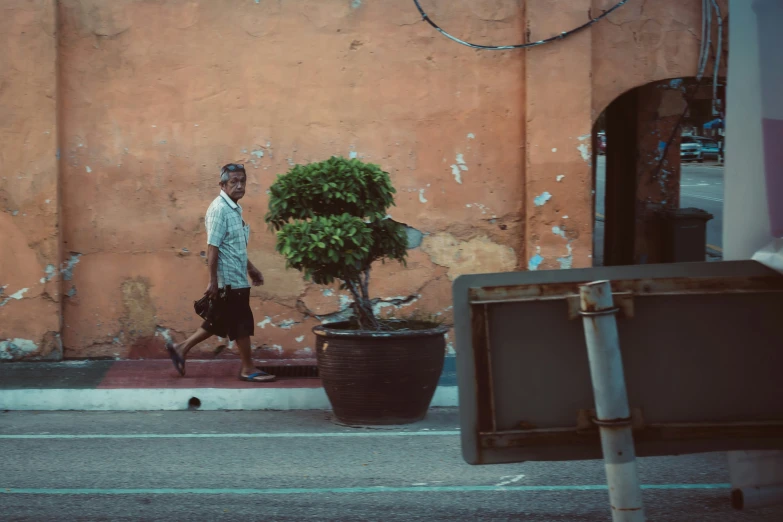 a person walking down a street past a potted plant