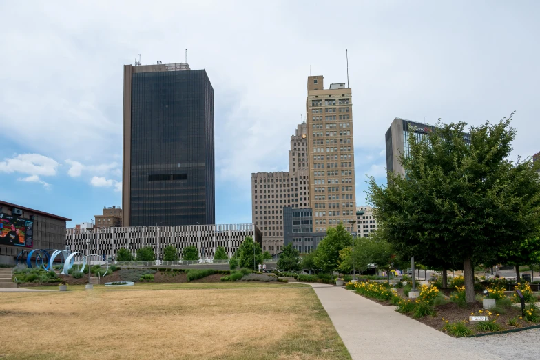 a grassy area with yellow flowers and trees