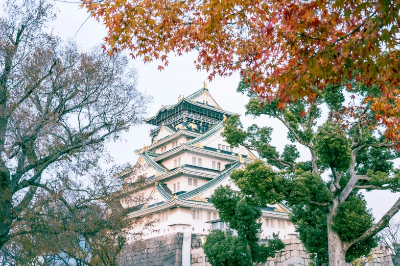 a tall building surrounded by trees and fall colors