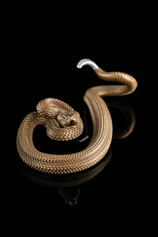 gold snake on the black background is not real