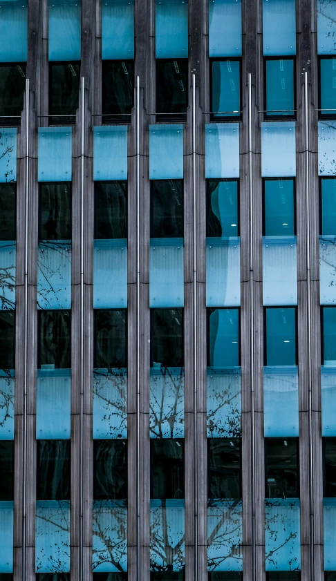 blue building with tall trees reflected in glass windows
