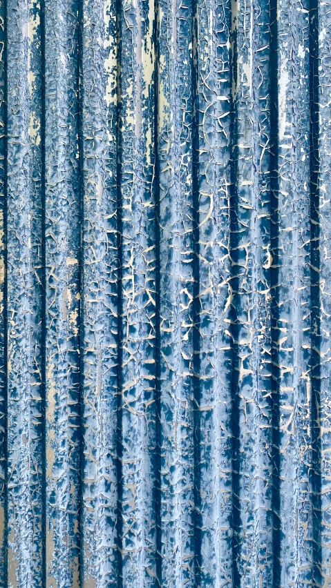 a group of trees that are covered in snow