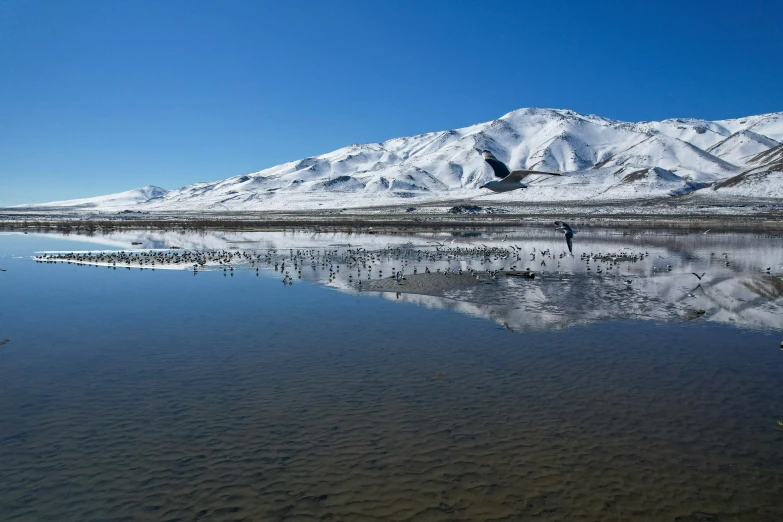 a mountain sitting next to a lake surrounded by snow