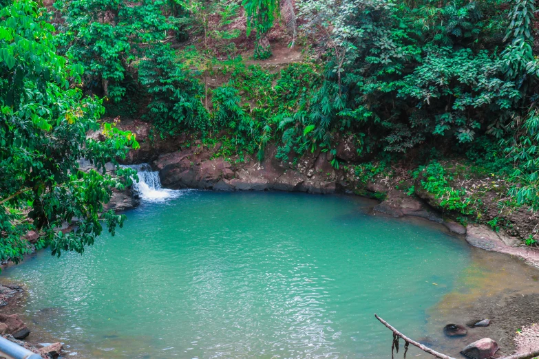 this pool is surrounded by deep green trees