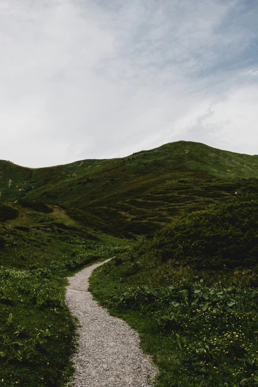 a path going uphill on a cloudy day