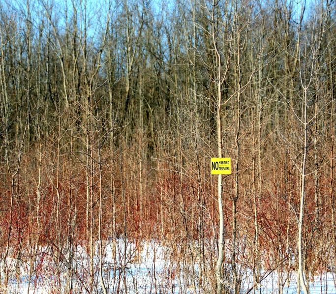 yellow and green sign on the side of a snow covered road