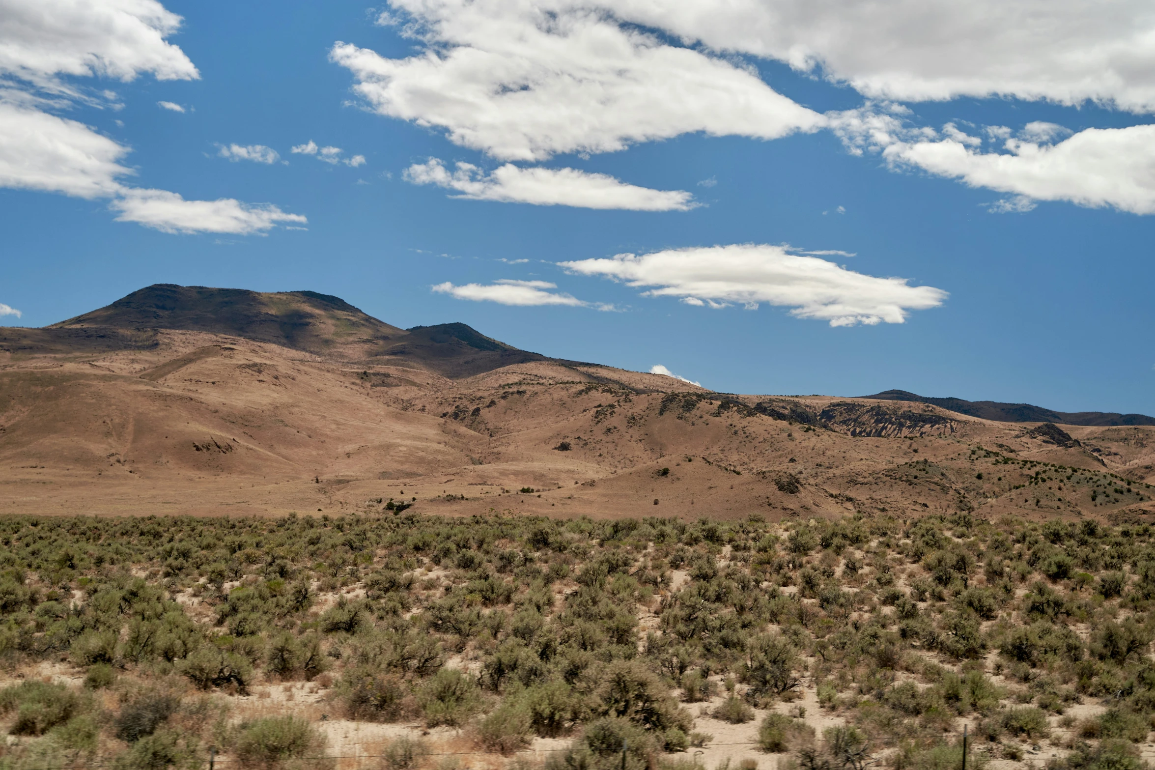 mountains in the desert with grass and bushes