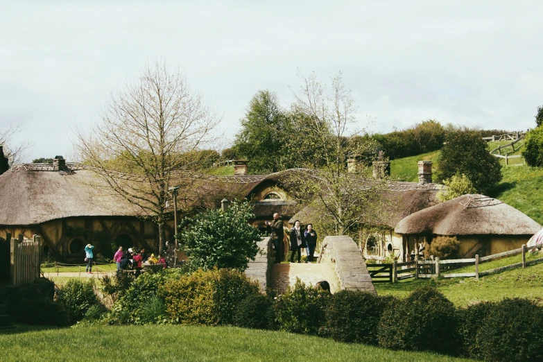 a row of small thatched roofs in an area with a forest