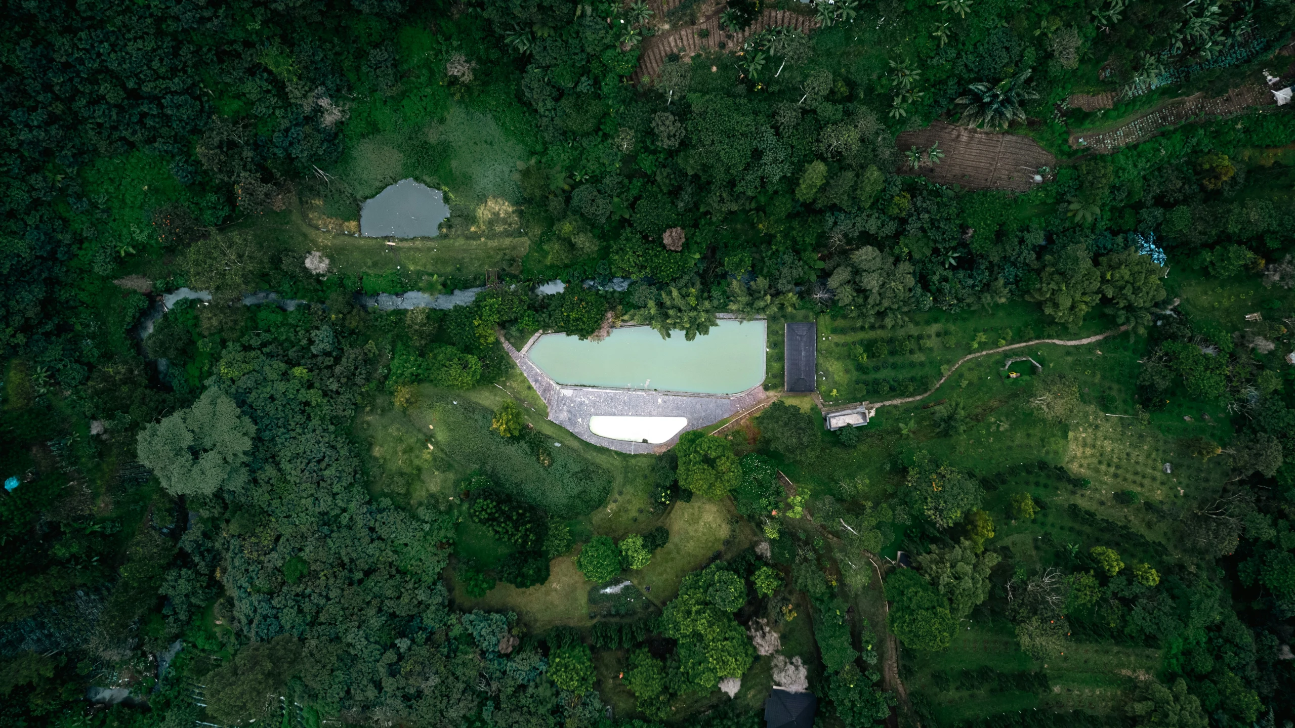 a small pool is in a clearing surrounded by greenery