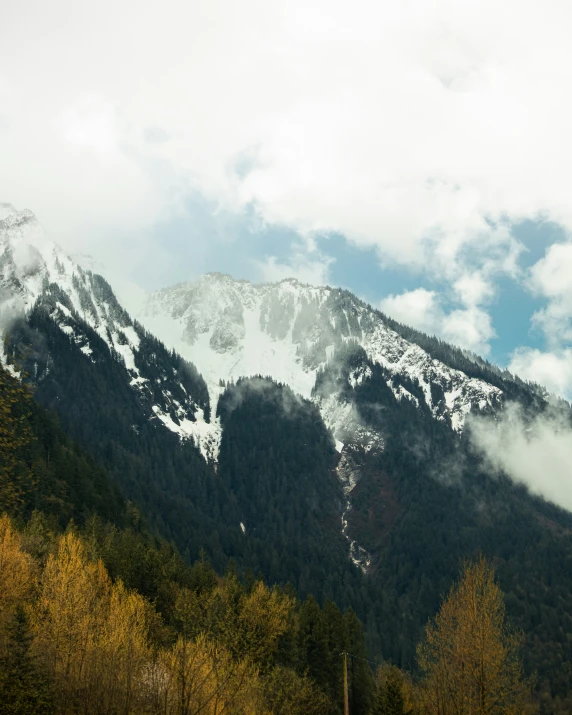 a view of snow covered mountains near trees