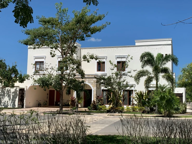 a big pretty white building with two trees