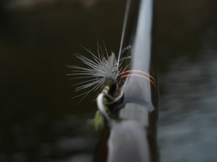 a close up s of an animal that is on the side of a railing