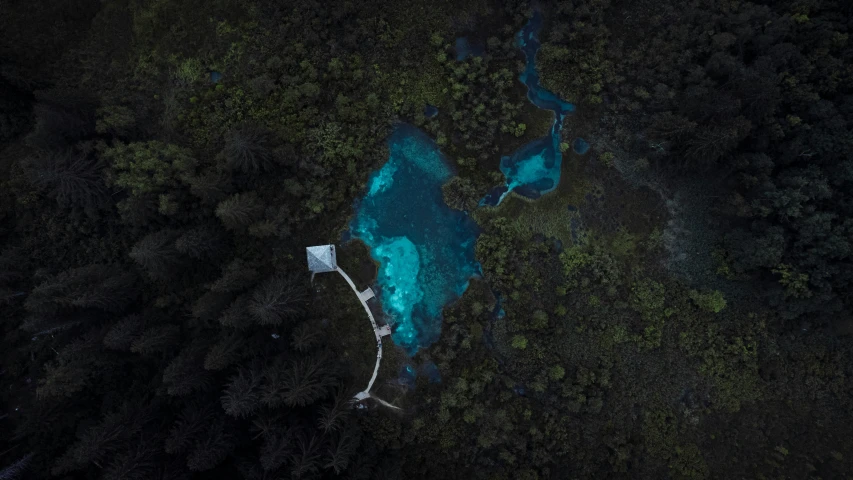 a river flowing through a lush green forest